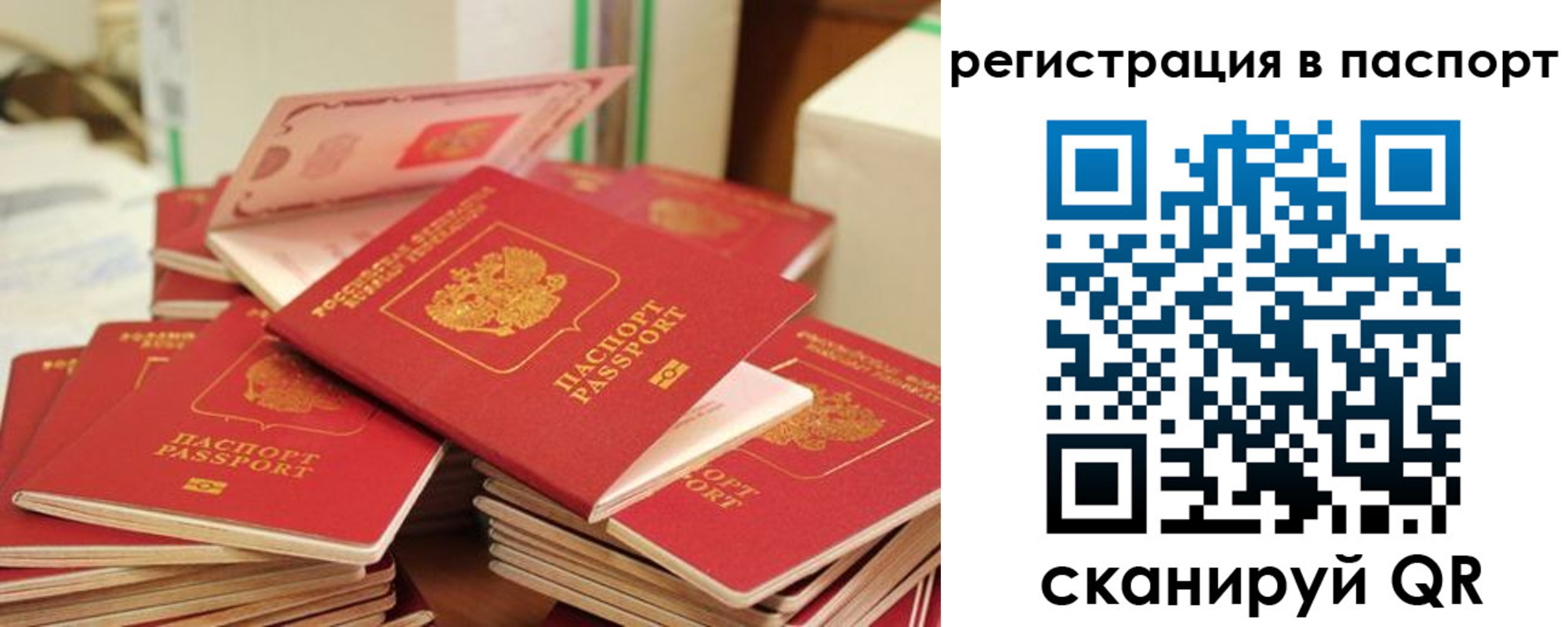 регистрация для школы в Сафоново
